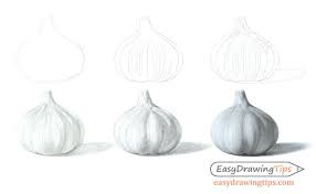 How To Draw Garlic Step By Step Tutorial Easydrawingtips Drawings Simple Line Drawings Art Drawings For Kids The course is about drawing lifelike pictures of male and female faces effortlessly. to draw garlic step by step tutorial