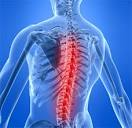 Боли в спине (болит спина): причины, диагностика, лечение ...