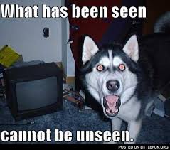 Littlefun Shocked Husky What Has Been Seen Cannot Be Unseen