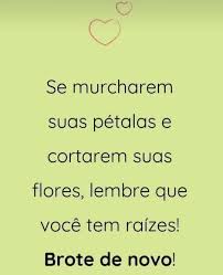 Só quem tem raiz baixar. So Quem Tem Raiz