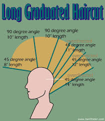 View yourself with jamie lee curtis hairstyles. Step By Step Bob Haircut Diagram Novocom Top