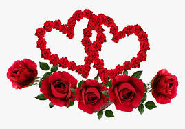 See valentine flowers stock video clips. Valentine Hearts Entwined Roses Red Flowers Carte Saint Valentin 2019 Hd Png Download Kindpng