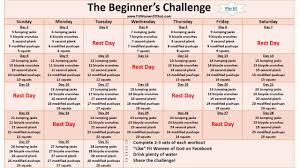 The Beginner S Challenge Are You In Workout Challenge Beginner Workout For Beginners Workout Plan For Beginners