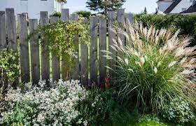 Verspielte Transparenz Garten Pflanzen Ideen Verspielte Transparenz Gartenlandschaftsbau Transpar In 2020 Sichtschutz Pflanzen Terrasse Pflanzen Gartengestaltung