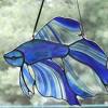 You'll find a high quality of healthy and colorful betta fish for sale. Https Encrypted Tbn0 Gstatic Com Images Q Tbn And9gcqduu14p2cvl6dcro9kmgygifkwj3y12rurp9fv3bi5gzl7vabv Usqp Cau
