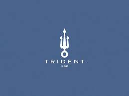 Trident Usb Logo Inspiration Branding Web Design Logo Trident Logo