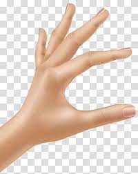 Hand Transparent Background Png Clipart Clip Art Transparent Background Ok Hand Sign