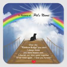 Choose from 50+ rainbow bridge graphic resources and download in the form of png, eps, ai or psd. Personalized Ferret Memorial Gifts On Zazzle