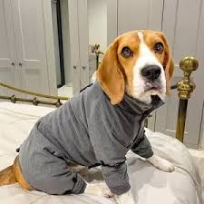 Can i assume that i need to get my left hip bone to clear out to the front (and left? Joint Muscle Therapy Coat Petietec