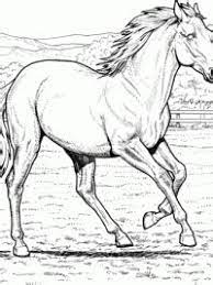 Rond deze van oorsprong echte paardenstal liggen uitgestrekte. Kleurplaat Paardenstal Kleur Met Kleurplaat 16 Amika Bekijk Meer Ideeen Over Paard Knutselen Paarden Kleurplaten Nooxest