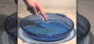 2019 ann m del tredici a very small trap afkitten werk de trap goed af door de naden en kieren weg te werken met kit en verf. How To Trap Fleas By Creating A Homemade Flea Trap Cats Wonderhowto