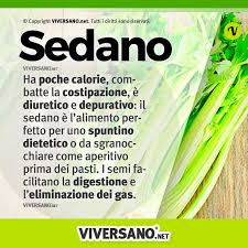 Sedano Proprieta Nutrizionali E Benefici Per La Salute Consigli Per La Dieta Motivazione Alla Dieta Consigli Alimentari