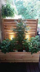 15 Unique Ideas Of Outdoor Privacy Screen Images Privacy Screen Outdoor Outdoor Privacy Deck Planters