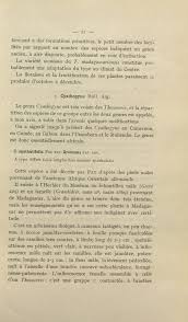 Image result for Thecacoris spathulifolia