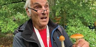 Marchwood+ December 2022 by Marshwood Vale Ltd