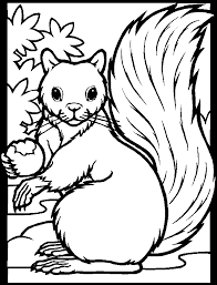 Coloring pages are fun for children of all ages and are a great educational tool that helps children develop fine motor skills, creativity and color recognition! Squirrel Coloring Page Animals Town Animal Color Sheets Squirrel Picture