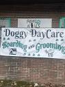 Paws N Pals Doggy Daycare