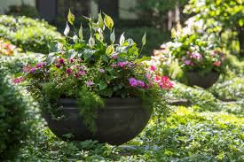 If you need some fresh ideas for your container gardens, try using ferns in your shade containers! Throwing Shade 14 Container Gardens For Low Sun Spots Houzz Au