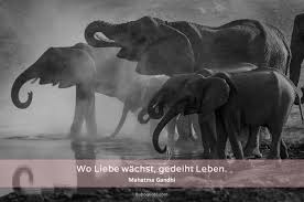 Upon initial inspection, mahatma gandhi doesn't look like an individual that could change the world and bring the mighty british empire to its knees, but even through numerous imprisonments and threats, mahatma gandhi stuck to his message and refused to stop his crusade to gain independence for his people. Wo Liebe Wachst Gedeiht Leben Gandhi