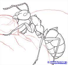 Pin On Bug Me