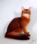 All About Red Tabby Cats - The Spruce Pets