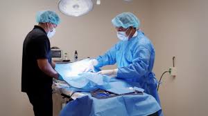 Maybe you would like to learn more about one of these? Veterinarian In Pleasanton Ca Animal Medical Center Of Pleasanton