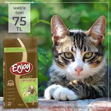 Enjoy Tavuklu Kedi Mamasi 15 Kg Web E Sadece 75 Tl Stoklarla Sinirlidir Https Www Metinpetgross Com Yetiskin Kedi Mamalari Kedi Cat Kedi Cats Iman