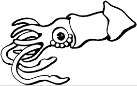 Free printable squid coloring pages available in high quality image and pdf format. Squid Coloring Page Coloring Page Book For Kids