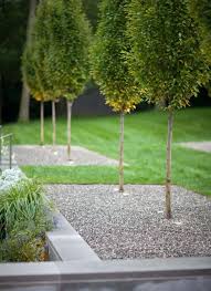 Das Pflanzen Der Baume Gut Planen Baum Vorgarten Moderne Gartenentwurfe Vorgarten Modern