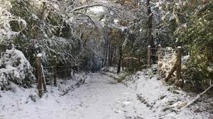 ¿cuándo empieza el invierno 2019? Empieza El Invierno La Estacion Mas Corta Del Ano