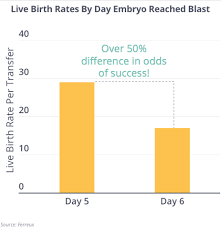 Fertilityiq Which Embryo To Transfer