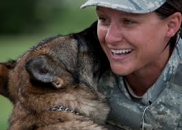 Blog Single Author Big