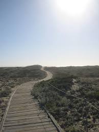 Boardwalk Path Across The Dunes To Salinas River State Beach Northwestern Monterey County Ca Photo By Blue Gryphon M Salinas River The Dunes Monterey County