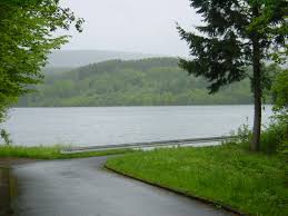 Check spelling or type a new query. Steinbachtalsperre Rheinland Pfalz Wikipedia