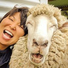 Did you hear about the butcher who backed into the meat grinder ???? Then  you probably know PB super star