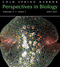 Synthetic biology interdisciplinary research centre & openplant (cambridge) department of plant sciences university of cambridge downing street. Home Haseloff Lab