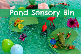 One of my favorite themes in preschool is a pond theme. Sensory Activities Pond Life Sensory Play Fun Littles