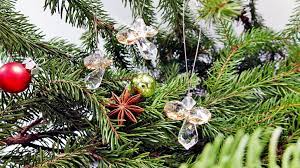 Maybe you would like to learn more about one of these? A Sparkly Christmas With Swarovski Crystals Modastrass Blog