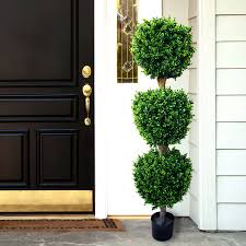 The evergreen leaves are shaped in flat fronds similar to a fern, but with a hearty fullness the boxwood is simple to shape into just about any design, especially rounded balls or spiral shapes. 13 Best Artificial Topiary Trees For Stylish Households Hand S Creativity