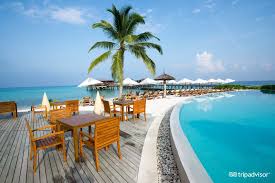 Centara grand island has several restaurants offering asian and western meals which can be enjoyed al fresco. Arena Beach Hotel Maldives Tripadvisor Rvbangarang Org