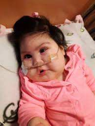 Scarlett Hernandez Obituary (2019)