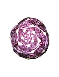 Un Compte Instagram Montre Les Fruits Et Legumes Comme On Ne Les A Jamais Vus Chou Rouge Fruits Et Legumes Choux Legume
