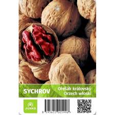 Image result for antraknóza ořešáku