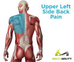 .back, and upper back pain are all closely related and are often inseparable because functionally and anatomically all three parts of the spine—the neck, the upper back, and the lower back—are a single indivisible entity and should be treated as such if pain occurs anywhere in the neck or back. Left Side Lower And Upper Quadrant Back Pain