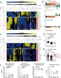 Increased Apolipoprotein B A1 Ratio Predicts Cardiometabolic Risk In Patients With Juvenile Onset Sle Ebiomedicine
