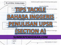 Bahasa melayu (bm), bahasa inggeris (english), matematik (mathematics), sains (science),. Tips Nak Tacke Bahasa Inggeris Penulisan Upsr Section A Sumber Pendidikan