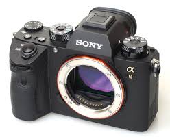 The Best Mirrorless Camera Under 1000 In 2021