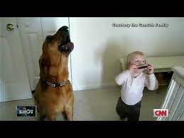 Cnn Toddler And Dog Play The Blues Youtube