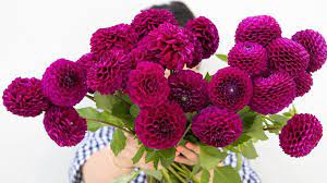 This, together with the many flower growers. The Best Flower Delivery Services In Melbourne Same Day Flowers