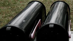 Dead cat gets voter registration application in mail